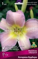 Лилейник гибридный Катерина Вудбери Лилейник гибридный Катерина Вудбери