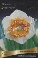 Нарцисс Амадей Моцарт Нарцисс Амадей Моцарт