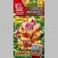 Без названия (26) Без названия (26)