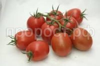 Без названия Без названия