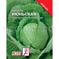 Капуста белокочанная Июньская 5г XXXL