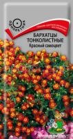 Бархатцы тонколистные Красный самоцвет