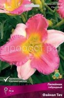 Лилейник гибридный Файнал Тач Лилейник гибридный Файнал Тач