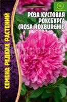 h4uffa6moaw07df06ec9zt2c351236lk h4uffa6moaw07df06ec9zt2c351236lk