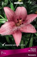 Лилия ЛА-Гибрид Коголето (14-16) 2 шт 736160