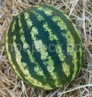 НоменклатураПрисоединенныеФайлы