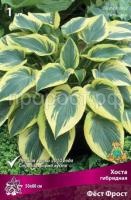 Хоста гибридная Фёст Фрост Хоста гибридная Фёст Фрост
