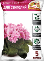 сенп 5 сенп 5