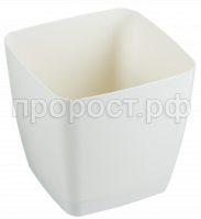 крокус сл к крокус сл к