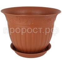 vinograd-terrakot vinograd-terrakot