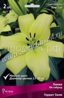 Лилия ЛА-Гибрид Геррит Залм (14-16) 2 шт 736169