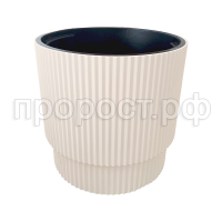 Жасмин 40латте