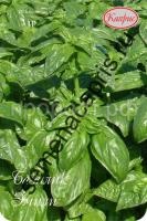 базилик эмили базилик эмили