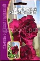 Адениум Малиновый Десерт 3 шт Редкие растения