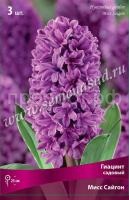 Мисс Сайгон Мисс Сайгон