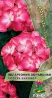 Пеларгония зональная Люстра Биколор Пеларгония зональная Люстра Биколор