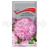 Астра-пионовидная-Дюшес-роуз-энд-вайт-0,3г-Поиск