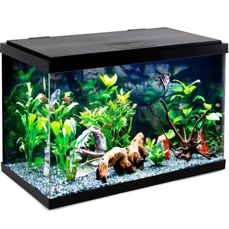 Аквариум Nimbus 75,7л 614*322*422мм/Laguna/73534026 Аквариум Nimbus 75,7л 614*322*422мм/Laguna/73534026