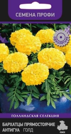 Бархатцы Антигуа Голд 15шт Бархатцы Антигуа Голд 15шт