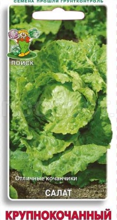 Салат Крупнокочанный 1 гр  Салат Крупнокочанный 1 гр