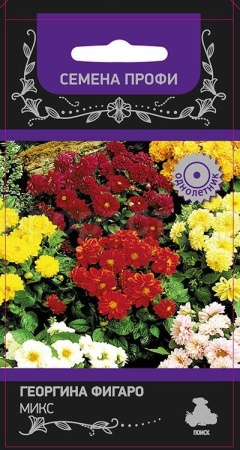 Георгина Фигаро Микс 10шт Георгина Фигаро Микс 10шт