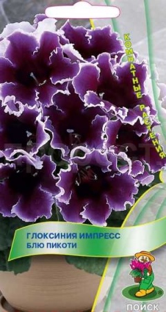 Глоксиния Импресс Блю Пикоти 5шт Глоксиния Импресс Блю Пикоти 5шт