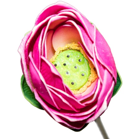 Плав.цветок Лотос 62715 Плав.цветок Лотос 62715