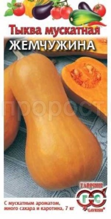 Тыква мускатная Жемчужина 1,0г Тыква мускатная Жемчужина 1,0г
