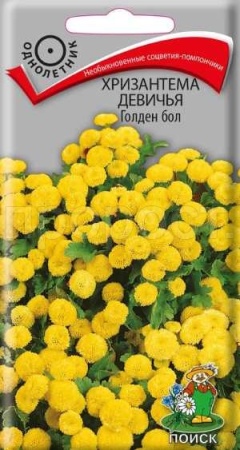 Хризантема девичья Голден бол 0,05г Хризантема девичья Голден бол 0,05г