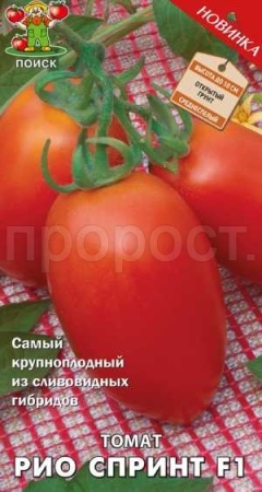 Томат Рио спринт F1 12шт  Томат Рио спринт F1 12шт