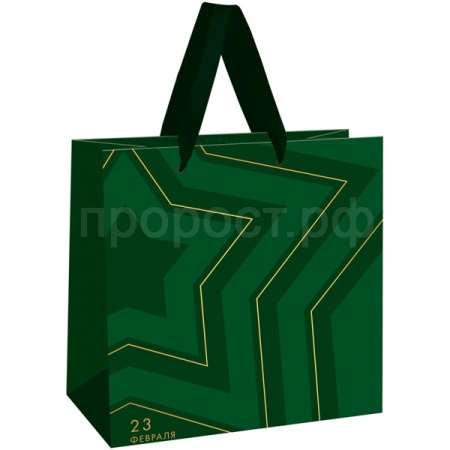 Пакет подарочный 20*20*10см "Military" фольга, матовая ламинация MESHU/Рельеф Пакет подарочный 20*20*10см "Military" фольга, матовая ламинация MESHU/Рельеф