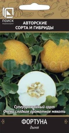 Дыня Фортуна 15шт  Дыня Фортуна 15шт