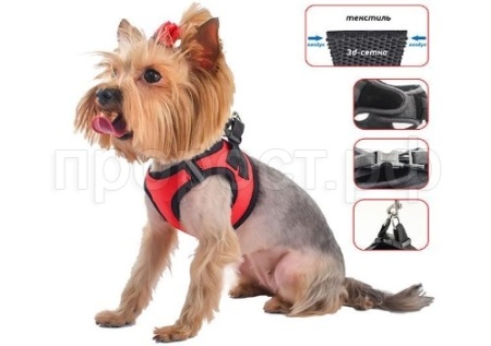 Шлейка трёхслойная с 3D сеткой текстиль Кай №4 Кордюра обх. гр. 34-39см/035104