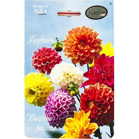 Георгина Веселые ребята 20*0,3  Георгина Веселые ребята 20*0,3