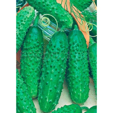 Гавриш Фермерская Огурец Гирлянда F1 100шт  Гавриш Фермерская Огурец Гирлянда F1 100шт