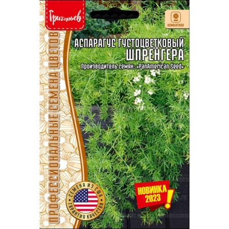Редкие растения Аспарагус густоцветковый Шпренгера 3шт  Редкие растения Аспарагус густоцветковый Шпренгера 3шт