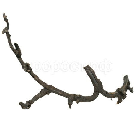Декор Виноградная коряга для террариума 75-100см Декор Виноградная коряга для террариума 75-100см
