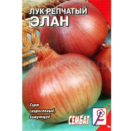 Лук репчатый Элан 0,2г ч/б  Лук репчатый Элан 0,2г ч/б