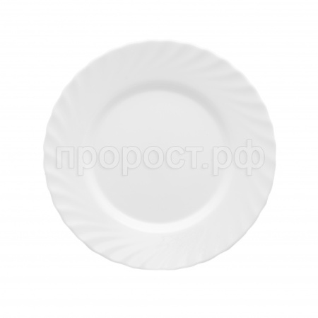 Тарелка обеденная ТРИАНОН 24.5см Тарелка обеденная ТРИАНОН 24.5см