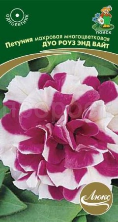 Петуния махровая многоцветковая Дуо роуз энд вайт 10шт Петуния махровая многоцветковая Дуо роуз энд вайт 10шт