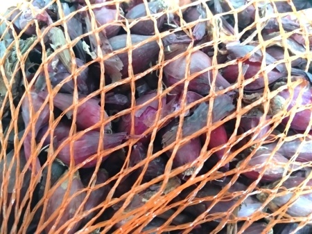 Лук-севок Кармен МС - 1кг+-10% Лук-севок Кармен МС - 1кг+-10%