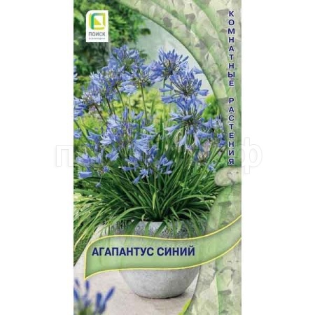 Агапантус Синий 3шт Агапантус Синий 3шт