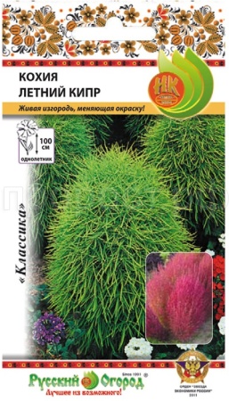 Кохия Летний Кипр 0,3г Кохия Летний Кипр 0,3г