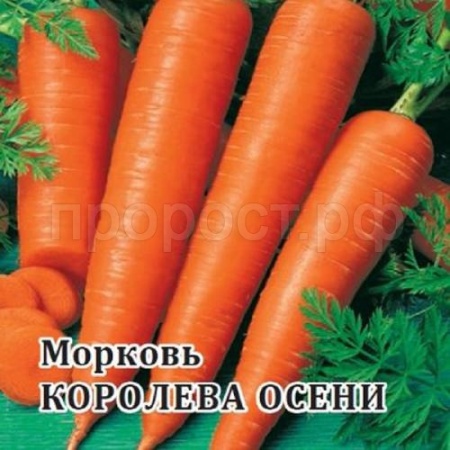 Морковь Королева Осени 25 г Морковь Королева Осени 25 г