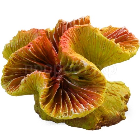 Грот Коралл искусственный Каталофиллия оранжевая 70*65*40мм/74004106 Грот Коралл искусственный Каталофиллия оранжевая 70*65*40мм/74004106