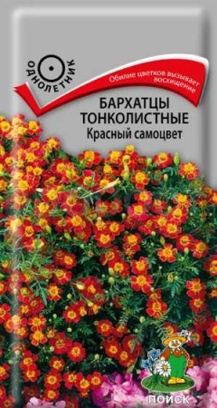 Бархатцы Красный самоцвет 0,1г Бархатцы Красный самоцвет 0,1г