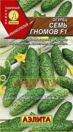 Огурец Семь гномов F1  Огурец Семь гномов F1