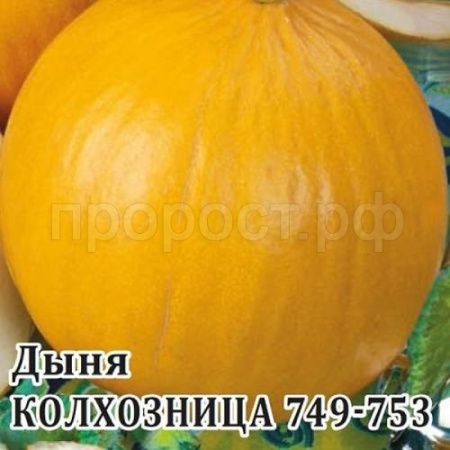 Дыня Колхозница 749/753 10 г Дыня Колхозница 749/753 10 г