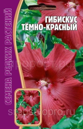 Гибискус Темно-Красный 5 шт Гибискус Темно-Красный 5 шт