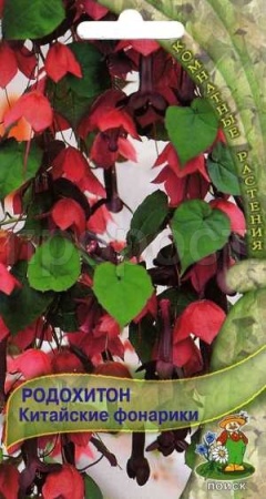 Родохитон Китайские фонарики 5шт Родохитон Китайские фонарики 5шт